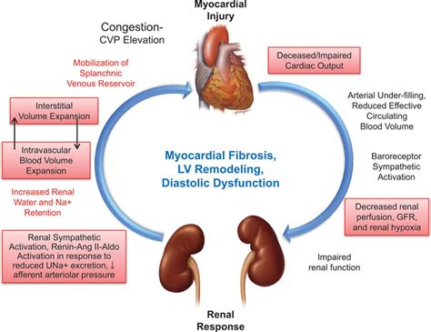 wet overload|Acute/Worsening Heart Failure: Treatment for Fluid Overload.